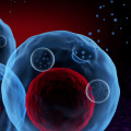 The Potential Risks and Benefits of Exosome Therapy