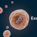 What are exosomes and how do they work?