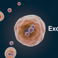 What is the highest quality exosome?