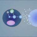 What is the mechanism of action of exosomes?