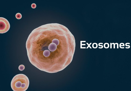 What are exosomes and how do they work?