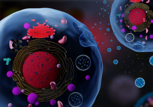 The Role of Exosomes in Tumor Development and Treatment