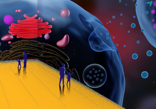 The Role of Exosomes as Biomarkers for Cancer