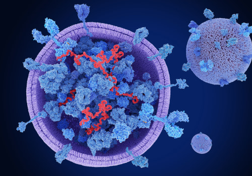 What foods are high in exosomes?