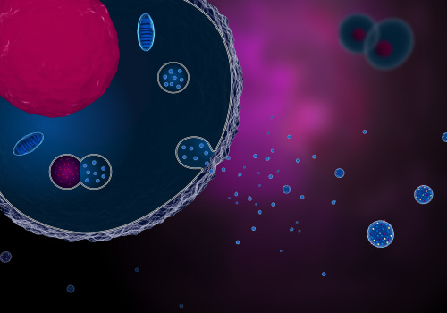 The Role of Exosome Markers in Cancer Development