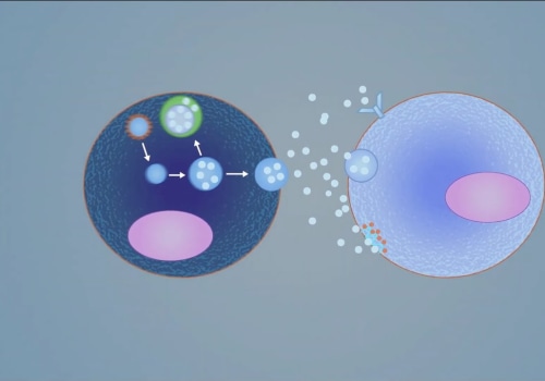 What is the mechanism of action of exosomes?